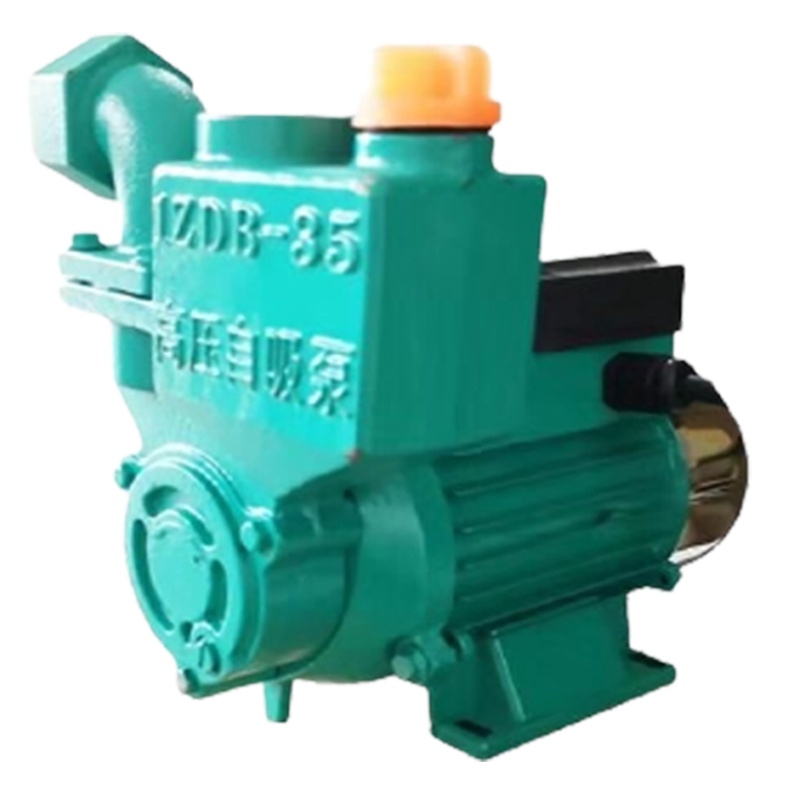 直流水阿斯卡利泵家用农用自吸泵抽水机12V24V48V60V电动车船用_24V320W18米扬程 xxx