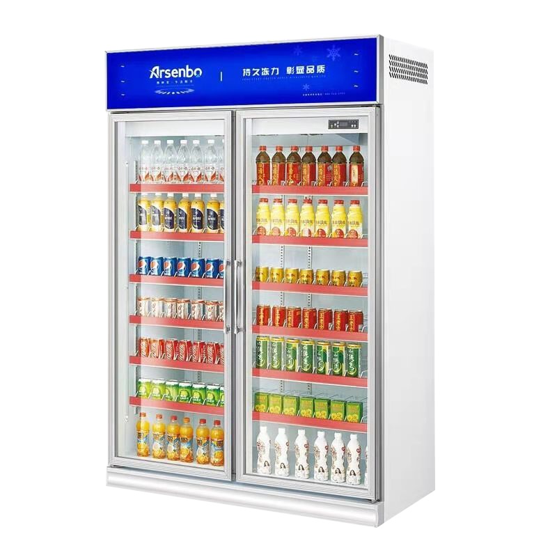 雅绅宝(Arsenbo)饮料展示柜冷藏立式冰柜商用冰箱饮品保鲜柜超市两门双门冷柜水果柜风冷无霜 豪华款1200L风冷无霜