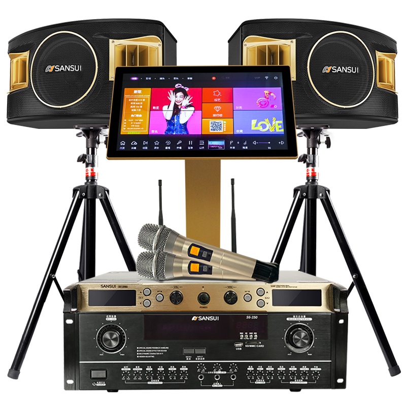 山水(SANSUI) SP2-11套装家庭影院家用客厅会议室专业效果器组合音箱电视KTV音响拓浦发3T语音点歌