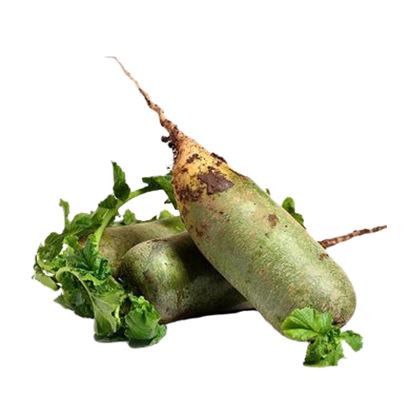 津沽园艺 蔬菜种子 水果萝卜种子 水果沙窝萝卜 脆嫩多汁 家庭阳台种菜 约10g