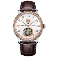 钻石牌（DIAMOND）手表天晷系列男士尊贵陀飞轮自动机械表经典鳄鱼皮带TB003中心式