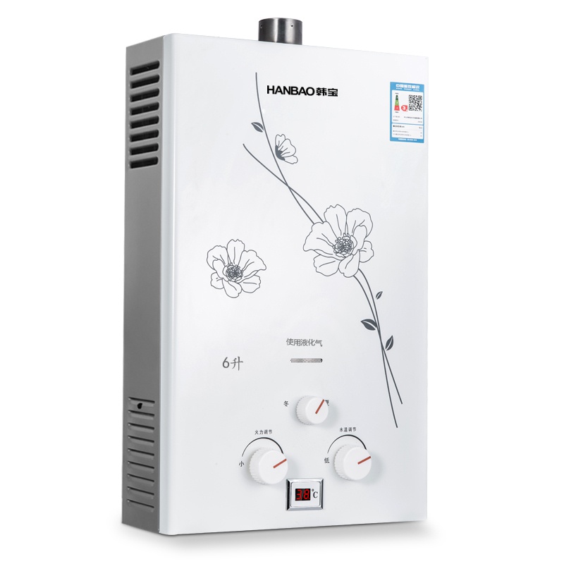 韩宝(HANBAO)8升强排式煤气热水器 全铜水箱 燃气热水器JSQ16-DSY01