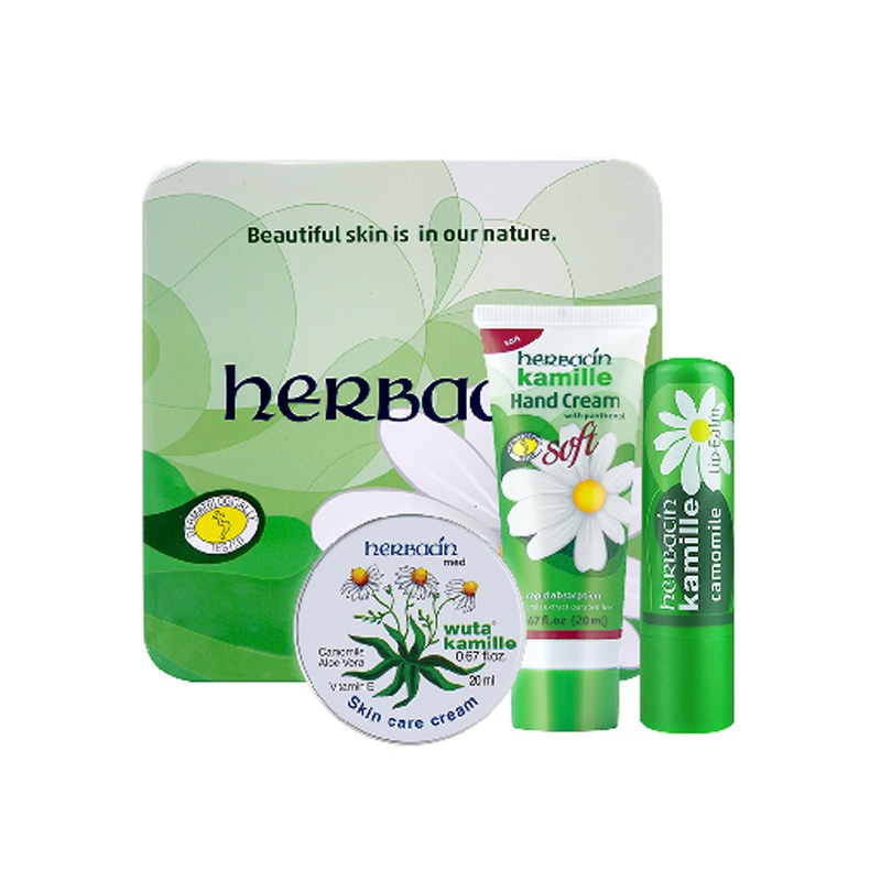 小甘菊纪念礼盒B版