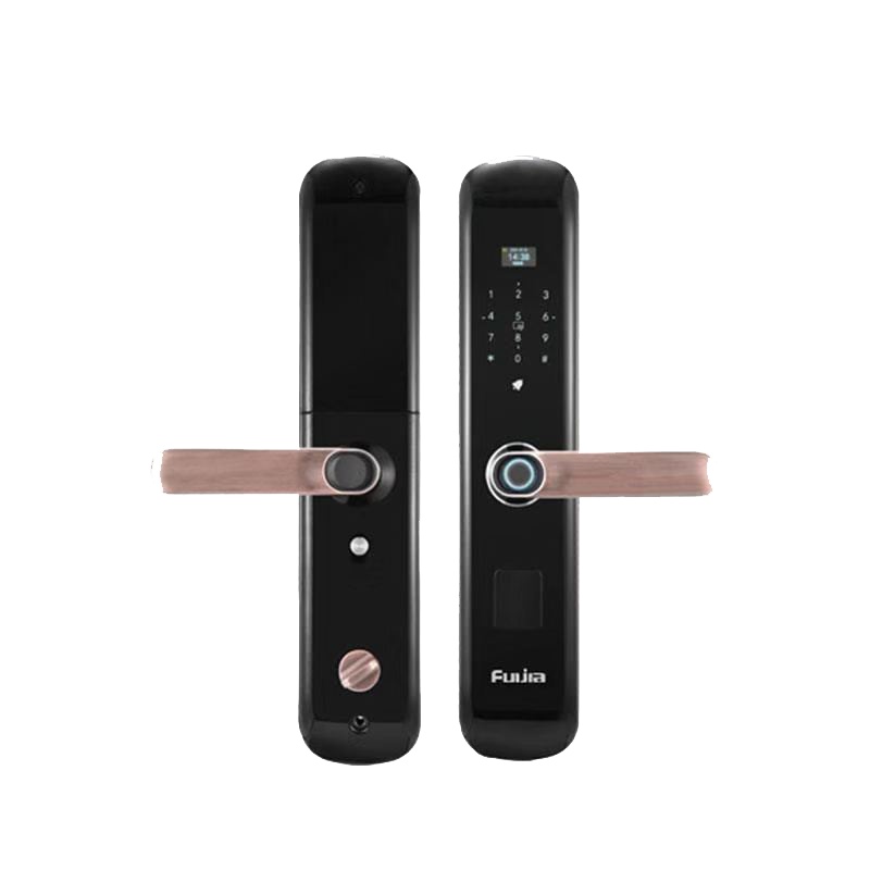 富力家H1公益限量版智能门锁指纹锁密码锁C级锁心双芯片锌合金膜内注塑高端材质(含安装)