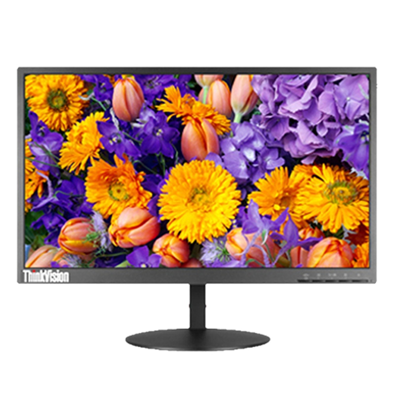 联想(ThinkVision) TE24-10 23.8英寸显示器(IPS 低蓝光 可升降可俯仰 VGA+HDMI+DP接口)三年保修
