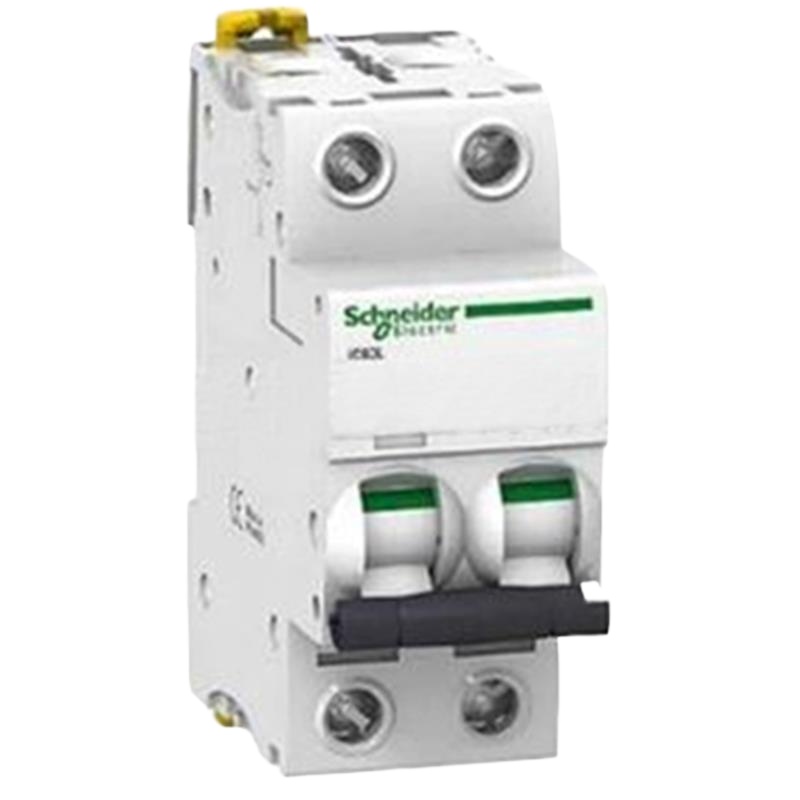 施耐德 Schneider Electric 小型断路器iC65L 2P 40A D(包装数量 1个)