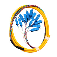 Cilian慈联 12色束装尾纤 SC/UPC 0.9mm 1.5米 光纤跳线