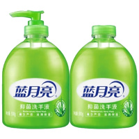 蓝月亮洗手液杀菌消毒液300ml家用免洗泡沫型抑菌滋润补充装500g