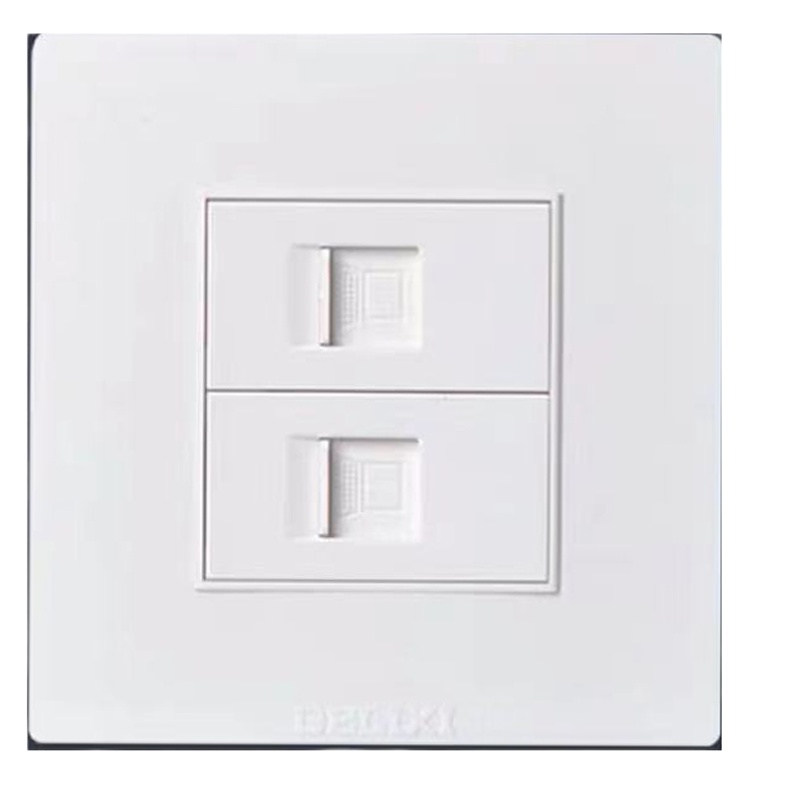 德力西双网口面板