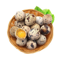 新鲜鹌鹑蛋(斤)