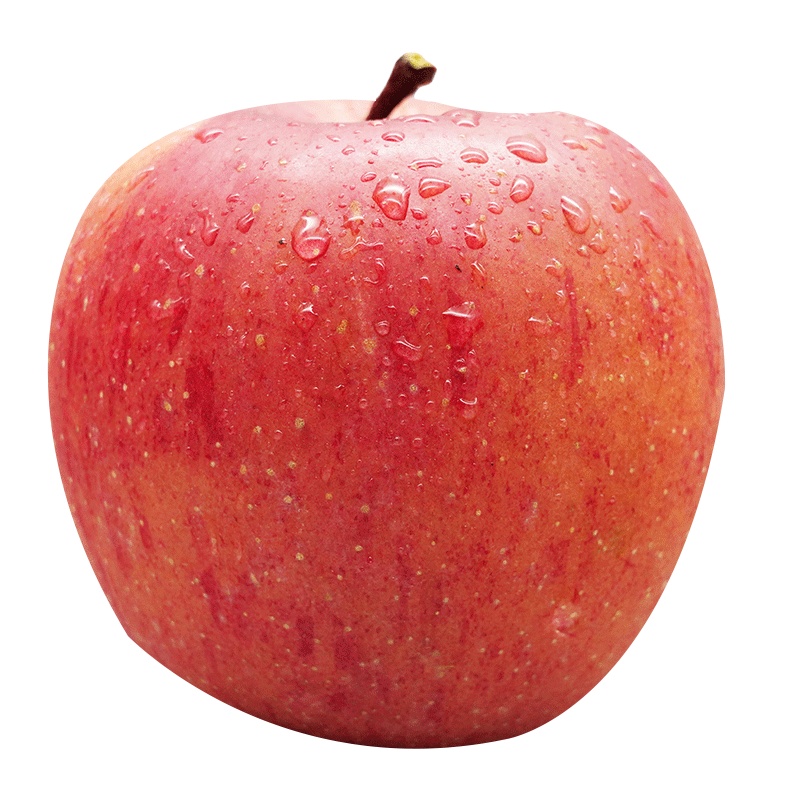 [好吃的苹果--果园直发]陕西洛川红富士苹果 脆甜爽口 水分足