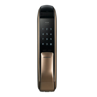 三星 SAMSUNG指纹密码锁家用防盗门锁智能电子锁 推拉式开门 DP727（流光银）