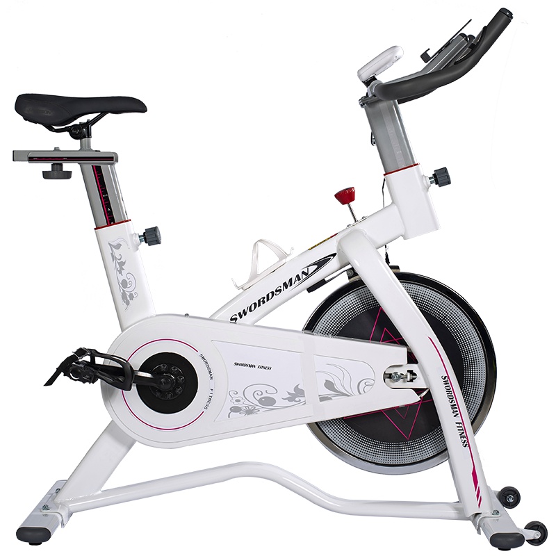 健芬欣 室内X-301D动感单车 健身骑行自行车脚踏车 300斤承重减肥瘦身运动器械 0元送达