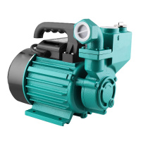 萤火虫yinghuochong 抽水泵1WZB-45T