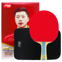 红双喜(DHS)乒乓球成品拍六星级升级版新包装T6星T5星T4星双面反胶重心居中专业快攻型