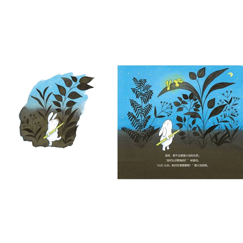 国外引进]兔子的心愿 绘本 平凡的生命也有非凡的梦想