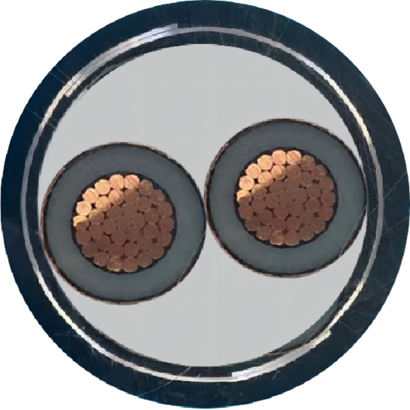 秦源牌 ZR-YJV22-0.6/1KV-2*2.5mm² 阻燃铜芯钢带铠装电力电缆 元/米 定制商品 联系客服