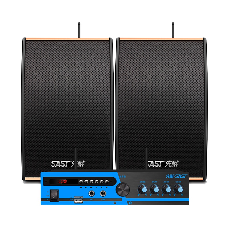 先科(SAST)家庭影院无线KTV音响套装 木箱音响套装会议音响 卡拉OK音响套装家用