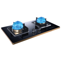 燃气灶双灶天然气液化气嵌入式台式两用灶