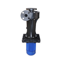 胜川宝PP槽外式立式泵 耐酸碱电动泵浦化学药液泵可空转直立式槽内泵外污水泵耐酸碱废气塔耐高3kw(4hp)