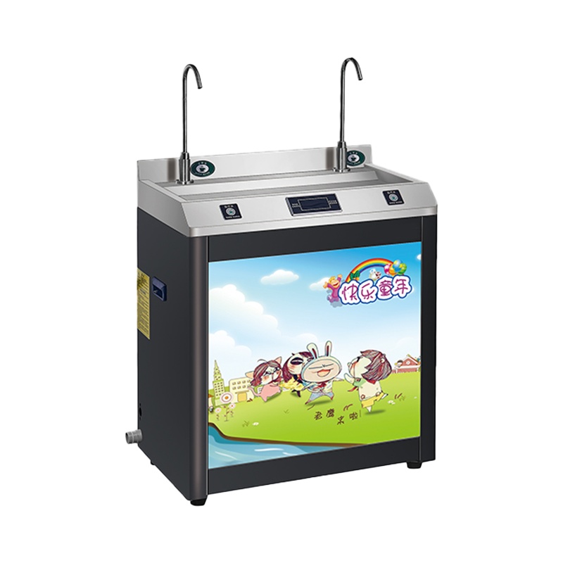 飞天鼠(FTIANSHU)商用开水器幼儿园学校饭堂全自动直饮水机双头双温TX-2YC-A