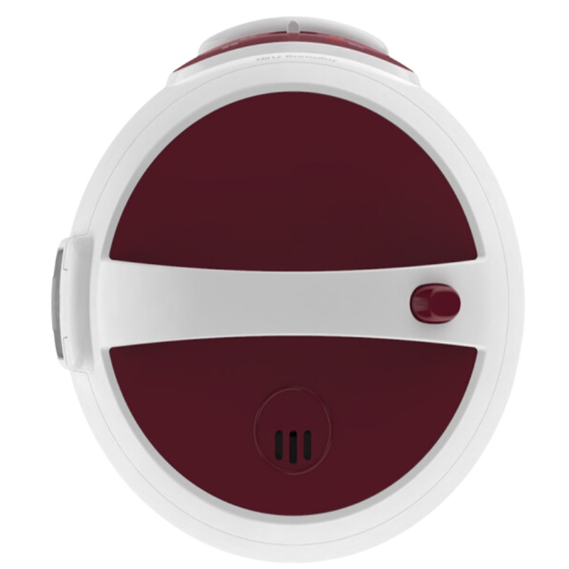 九阳(Joyoung)F-20Z05迷你电饭煲2升L一键式电饭锅煮饭煮粥保温1-2人