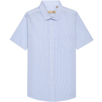 红豆旗下高端品牌轩帝尼(HETINNE)男装2019春夏新款轻奢商务DP免烫高纱支短袖男式衬衫