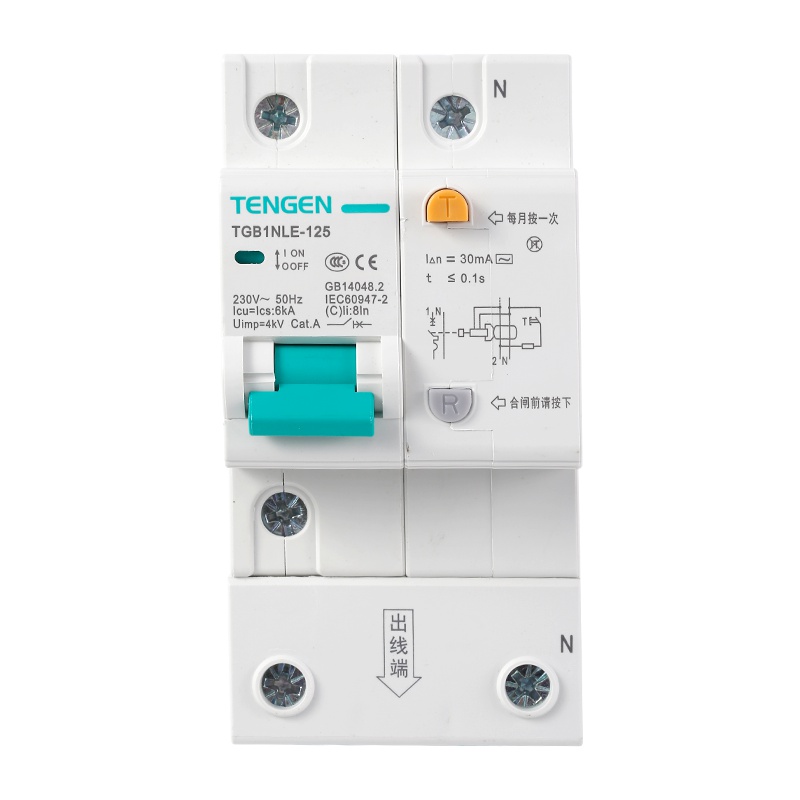 天正电气 TGB1NLE-125 1P+N C 100A 6KA AC230V 01070210003 微断漏电保护