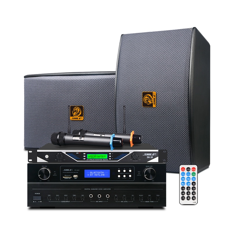 狮乐(SHILE)K555C/BX119家庭ktv音响套装会议室功放话筒音箱组合客厅卡拉OK家庭影院