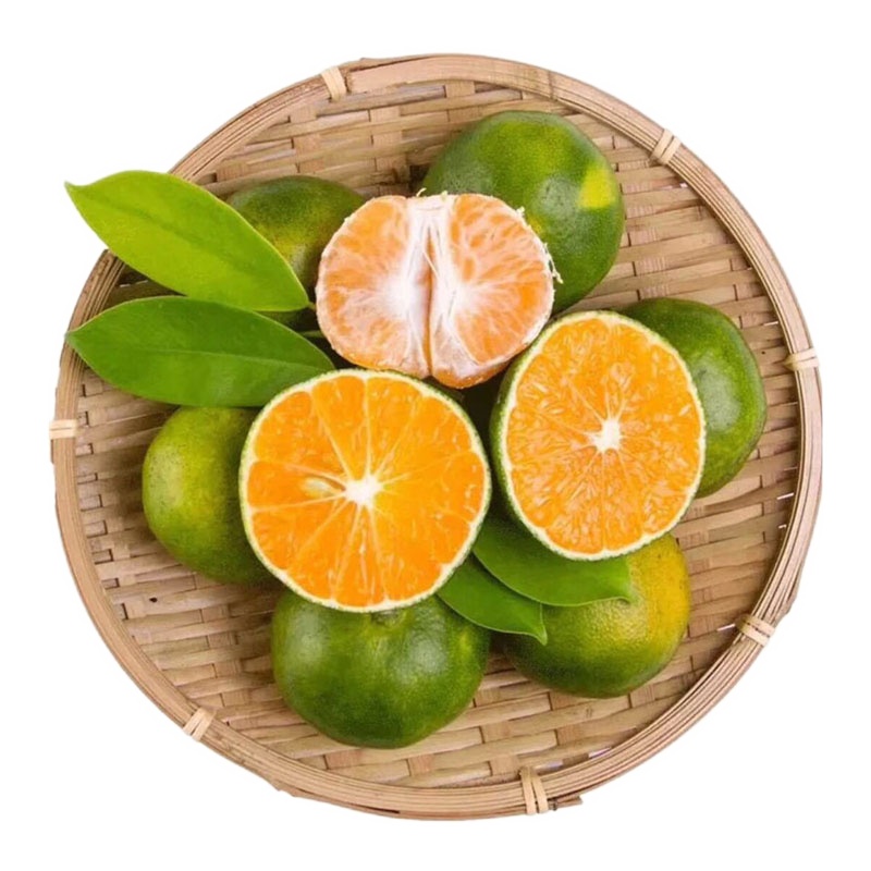 [五个农民]宜昌蜜桔3斤装青皮无籽蜜桔新鲜酸甜蜜橘桔子新鲜水果