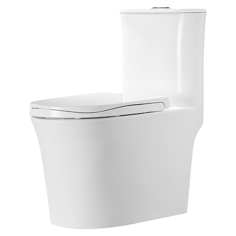 心海伽蓝(SHKL)抽水普通马桶家用超漩式坐便器卫生间地排防臭洁具陶瓷座便器9971