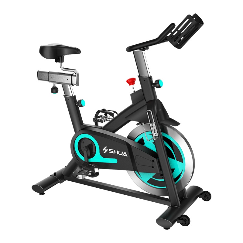 舒华动感单车家用健身车静音健身室内运动健身器材SH-B5966S