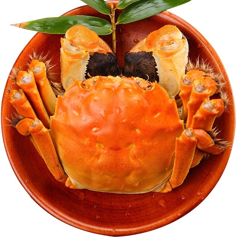 今旺阳澄湖大闸蟹公4.5两4只、母3两4只