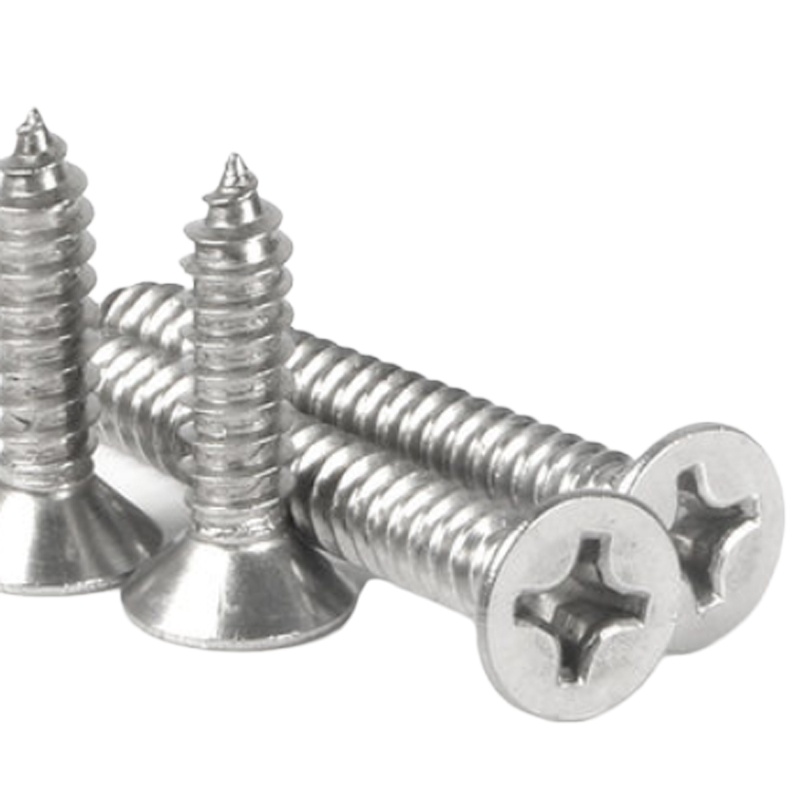 雷盛 自攻螺丝（100个） 20mm 21015