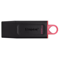 金士顿(Kingston)256GB U盘 DTX高速系统闪存优盘USB3.2 Gen 1黑色