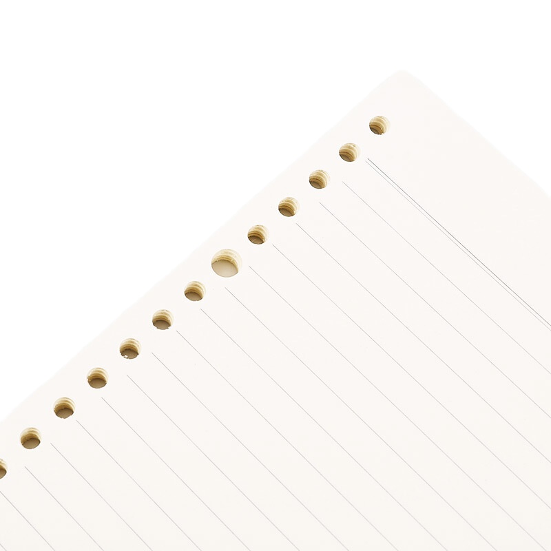 ZEBRA B5活页本9孔替芯 一本装