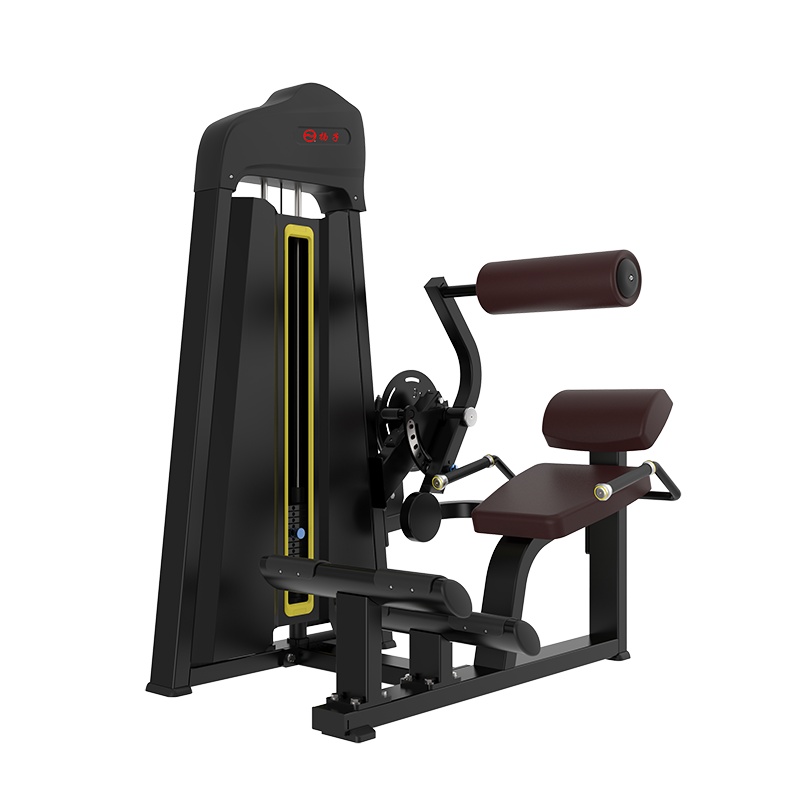 扬子(YANGZI)背肌训练器YZ-TB31