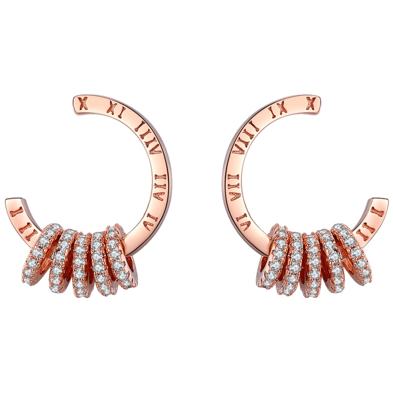 佰色传情BRIR高级感纯银简约气质耳环女耳钉耳饰精致耳坠