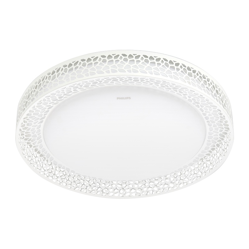 飞利浦 PHILIPS 吸顶灯客厅卧室吸顶灯书房现代简约无极调光调色水城 30W