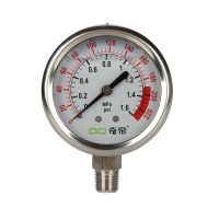 奇帝净水器配件 自来水家用净水机水压力测试表配件 不锈钢充油防震水压仪表 16公斤压力表（单表） 16公斤2分口压力表