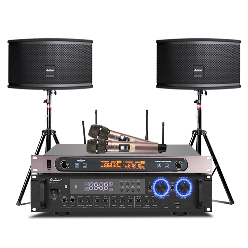 爱浪(AvliGHT)MK60-10家庭家用KTV套装专业K歌音响客厅会议带功放无线话筒
