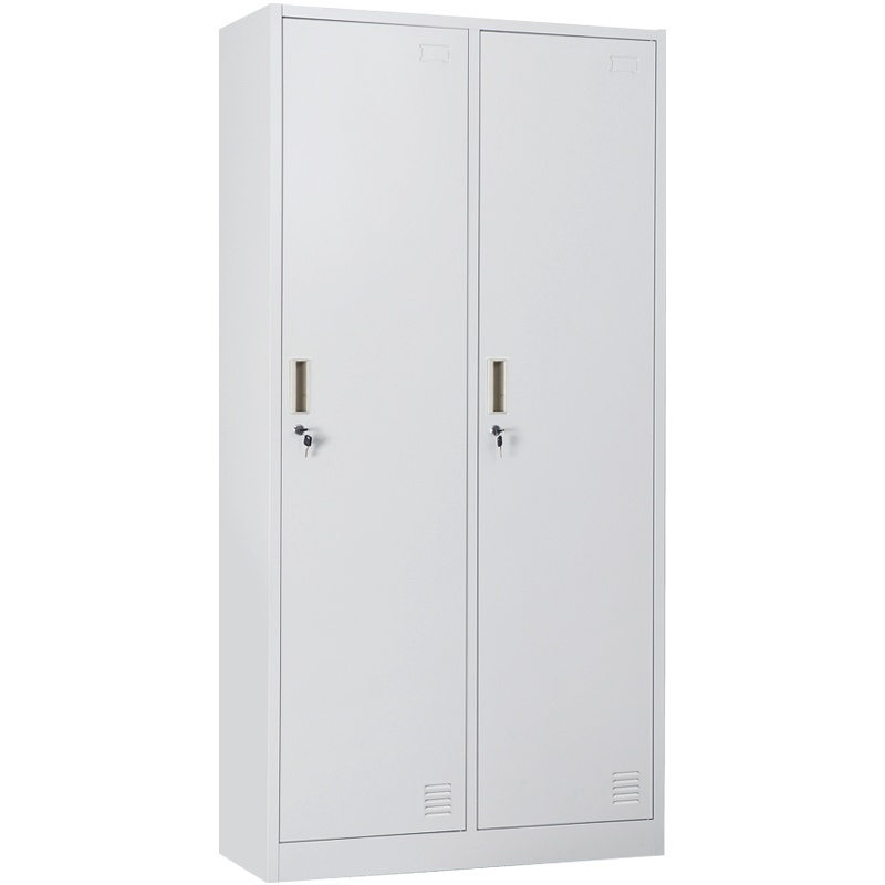 震海更衣柜储物柜鞋柜员工存包柜钢制更衣柜衣柜 家用两门衣柜