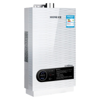 新品 火王(Hione)智能恒温强排式燃气热水器10升 JSQ20-H10/E1