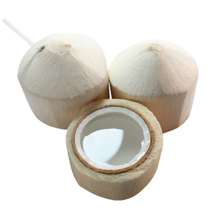 [西沛生鲜]海南椰青 当季热带水果 水果椰子 9个装(2-3斤/个) 现摘现发 营养美味 清甜可口