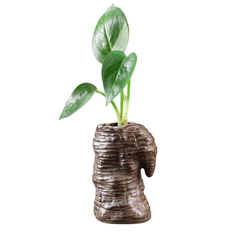 创意绿萝水培花瓶陶瓷仿石头水养植物容器铜钱草花瓶桌面装饰摆件