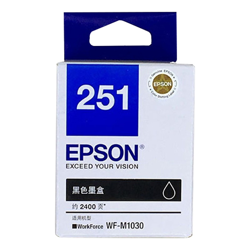 爱普生(EPSON) T251 打印机墨盒 黑色