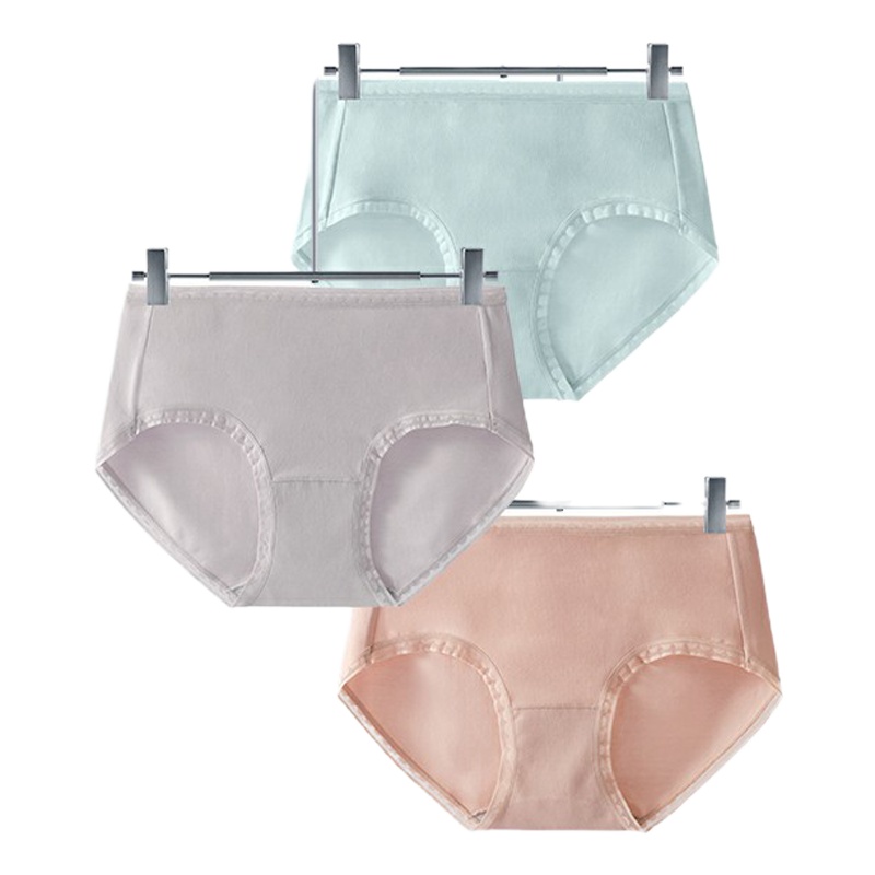 圣大保罗女士95%棉抗菌底档内裤[混色3条装]PU-2913-3(L混色)PY
