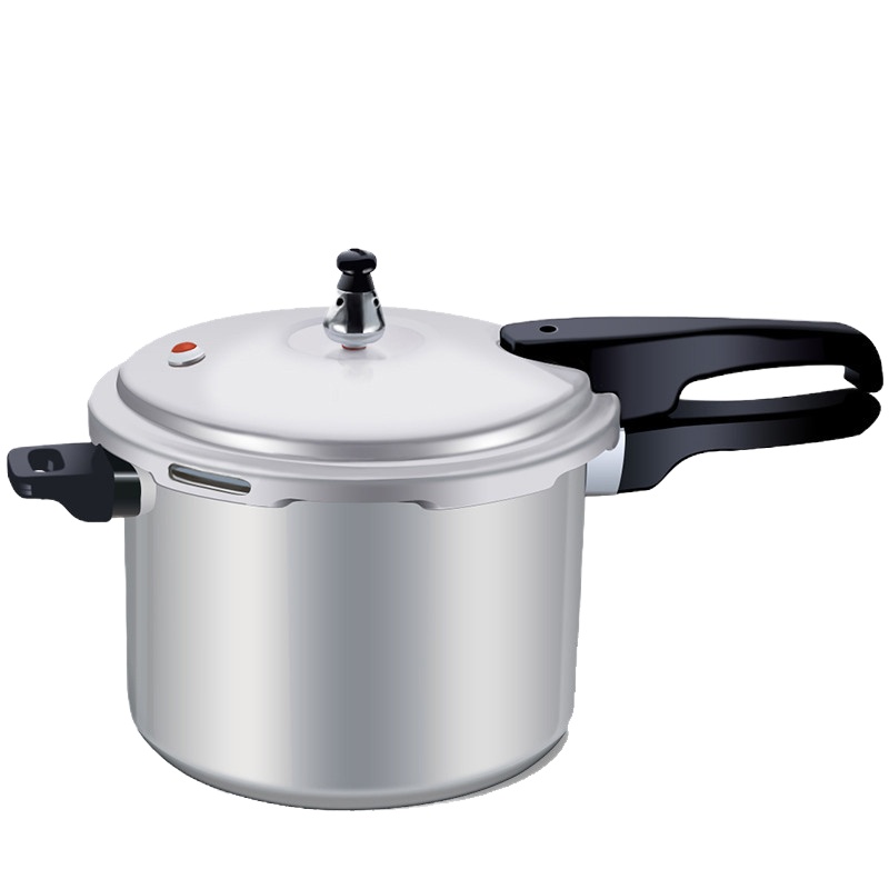 新款压力锅.磁通 YH20E4