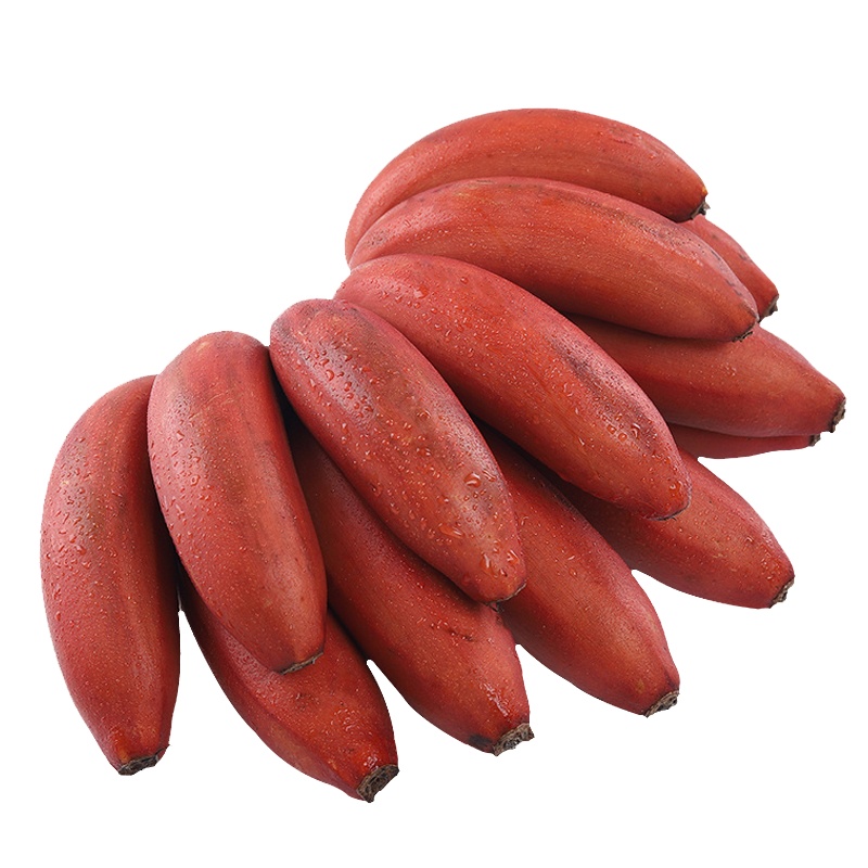 [西沛生鲜]通货国产红皮香蕉 5斤装 美人蕉 孕妇水果宝宝辅食 新鲜当季红香蕉 国产热带水果