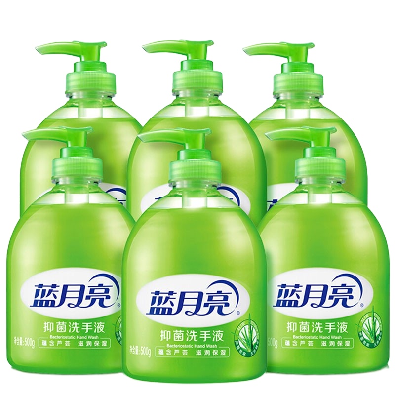 蓝月亮 Q02 芦荟抑菌洗手液套装 500g×12瓶